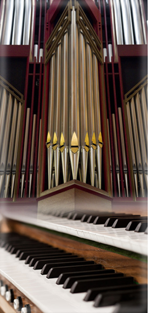 Orgel_2